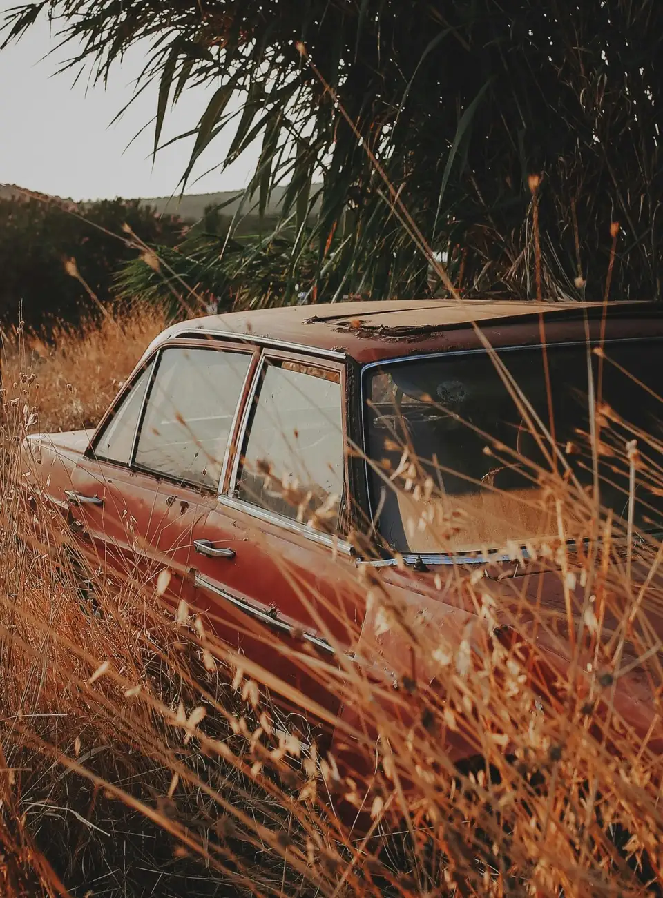 An old red car sitting in tall grass