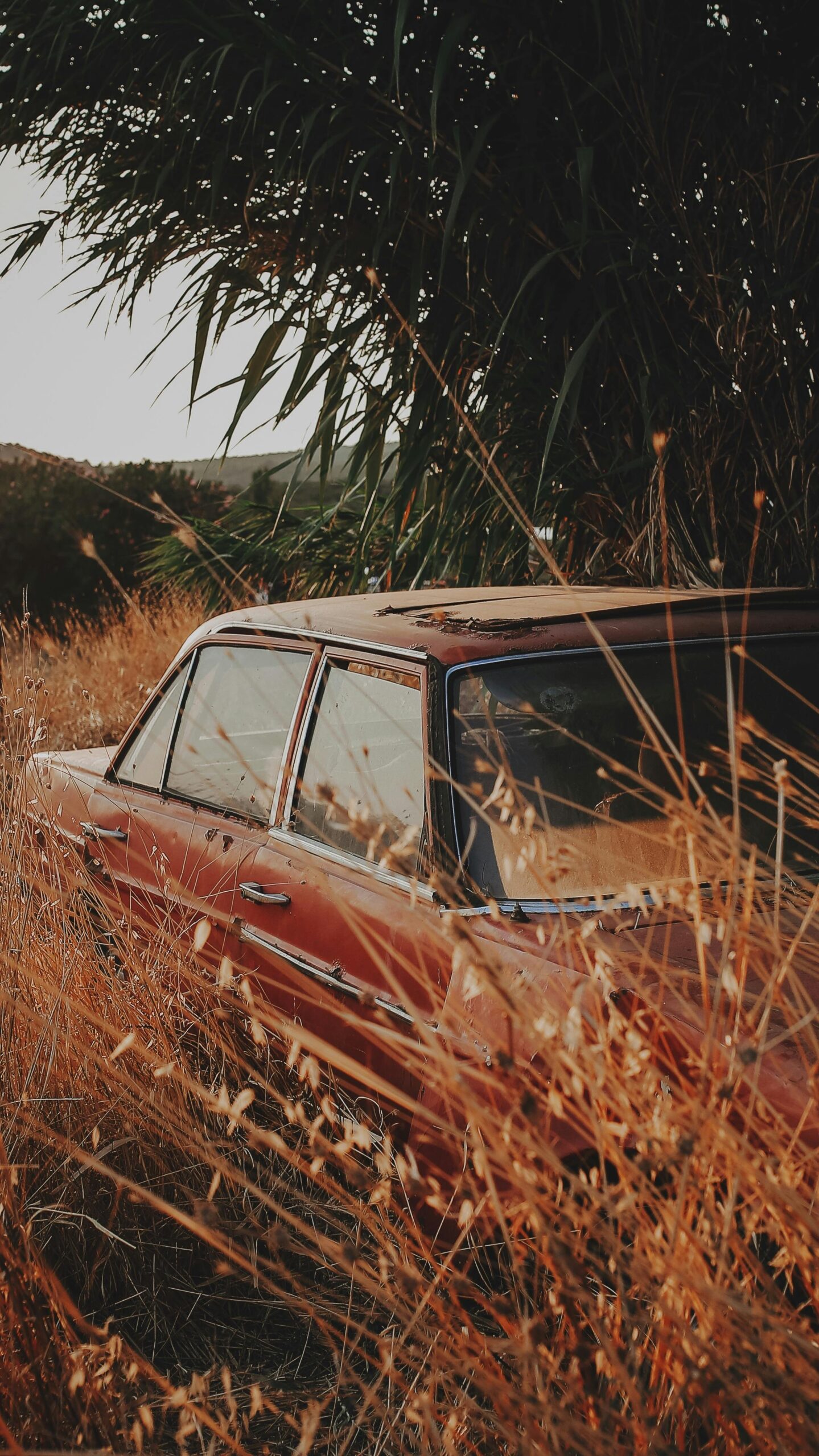 How to Get a Replacement Vehicle Title Before Junk Car Removal